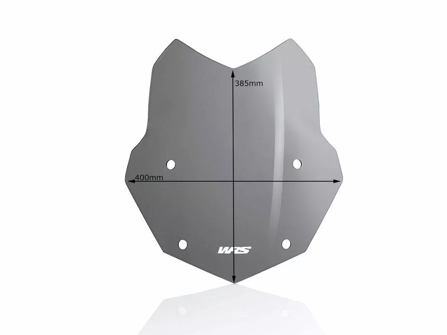 BMW R 1200 R [WRS] – Windschild