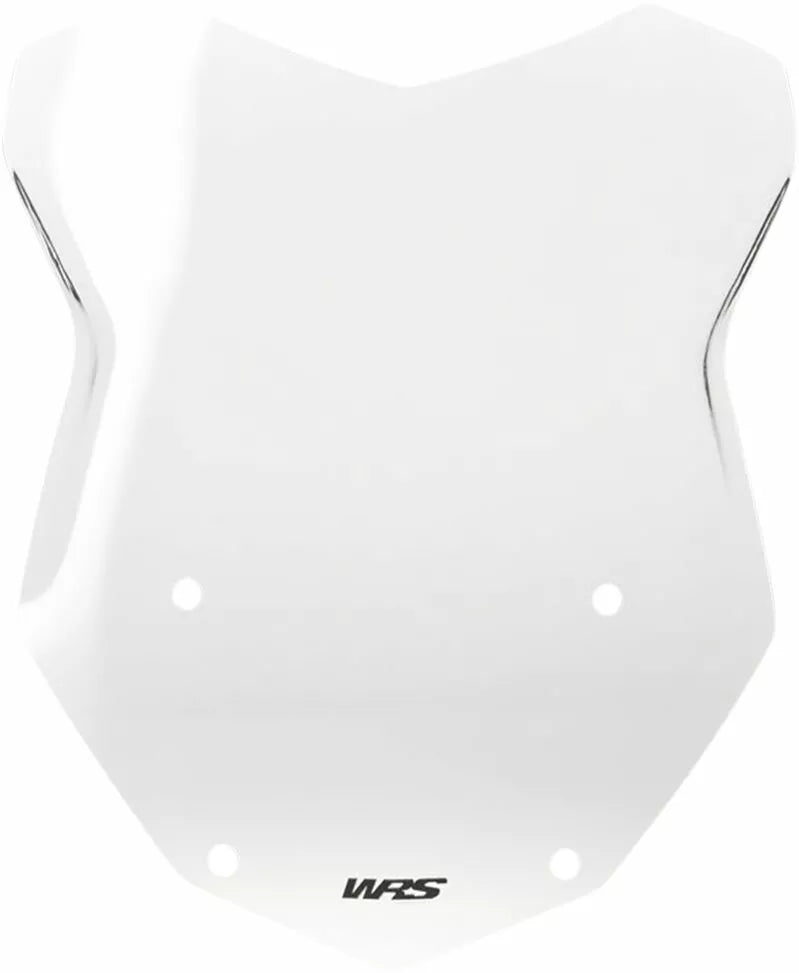 BMW R 1200 R [WRS] – Windschild