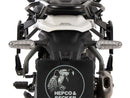 Royal Enfield Himalayan 450 [2024-2025] -C-Bow Color Carrier-4