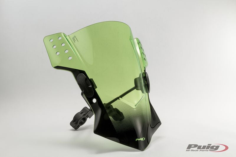 KAWASAKI Z 650 [2025] – Rafale – Stark getönt
