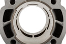 Fantic XE 50 2T - kit cylindre Big Racing 77cc