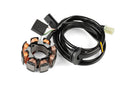 Aprilia SR Netscaper 50 2T LC - Zündung For Race digital mit Licht