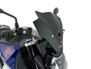 BMW F 900 R [WRS] - pare-brise-4