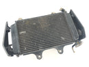 KTM Duke 125 [2011] - Radiator Water Cooler-3