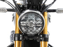 Royal Enfield BEAR 650 [2025-] - LAMPENSCHUTZGITTER-1