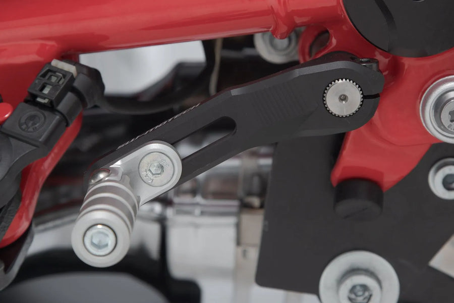 bmw r 12 g [SW-MOTECH] – shift lever