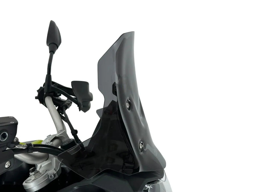 BMW F 900 [WRS] – Windschild