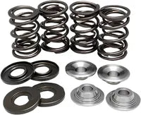 BMW R 60/5 [KIBBLEWHITE] – Ventilfeder-Kit