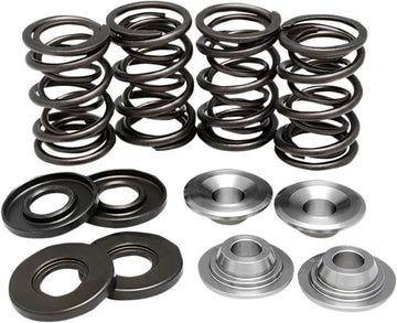 BMW R 60/5 [KIBBLEWHITE] – Ventilfeder-Kit