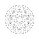 Honda Hornet 600 [BREMBO] - Disque de frein flottant rond Série Oro-2