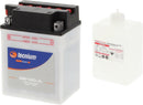 Yamaha YFM 350 Warrior [Tecnium] - Batterie de moto-1