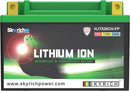 Kawasaki Vn 1600 Mean Streak [SKYRICH] - Lithium-Ionen-Batterie - LTX20CH