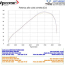 BMW R 1250 GS K50 [HP Corse] - HP Corse 4 -Track R Slip on exhaust-4