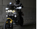 Ducati Desertx [DENALI] - CANsmart™ Controller GEN II-2
