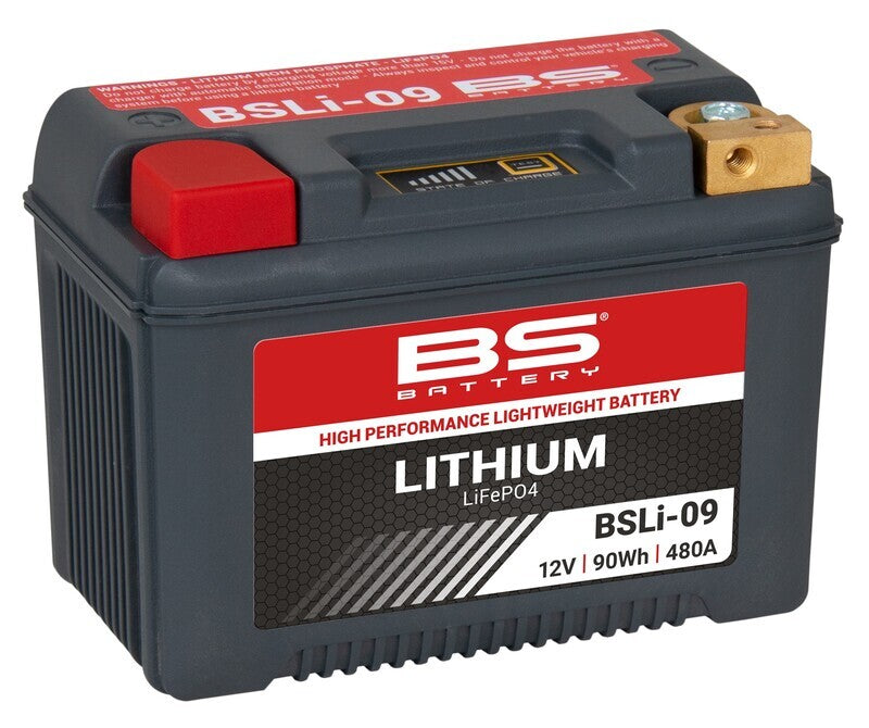 Kawasaki Vn 700 [BS BATTERY] - Lithium-Ionen-Batterie - BSLI-09