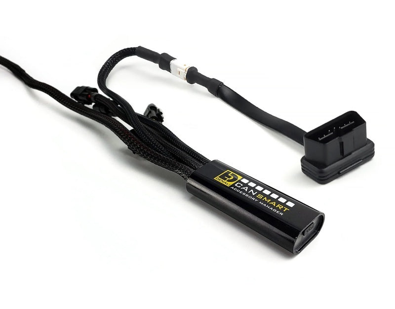 Triumph Tiger 1200 Rally Explorer [DENALI] - CANsmart™ Kit D3 fog light
