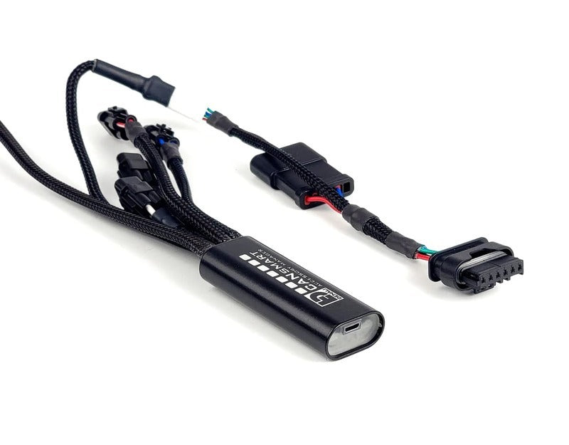 Bmw R 1300 Gs Trophy [DENALI] - D7 Pro Lighting Kit - with CanSmart Gen II controller and holder