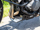Triumph Trident 660 [2021-2024] - Bugpoiler-4