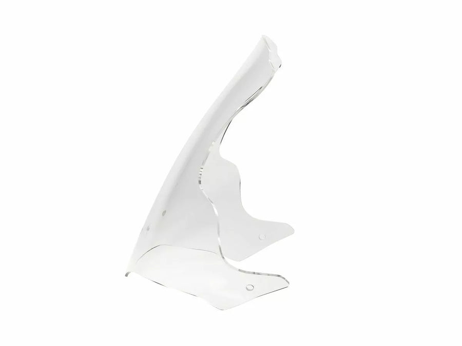 BMW R 1200 R [WRS] – Windschild