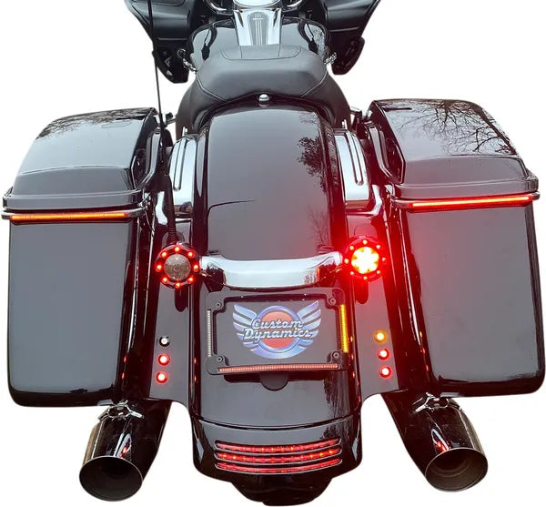 Harley Davidson Flhx [CUSTOM DYNAMICS] – LED Radius Kennzeichenrahmen