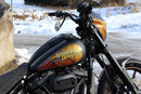 harley davidson fxlrs [CULT WERK] – Dash Cover for Harley-3