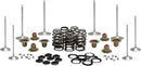 Harley-Davidson FLI 1868 Hydra-Glide Revival 114 [2024] - Kit de retenue de ressort de soupape en titane – Article n° 1110 – Figure 5