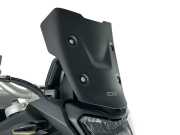 BMW F 900 [WRS] – windshield