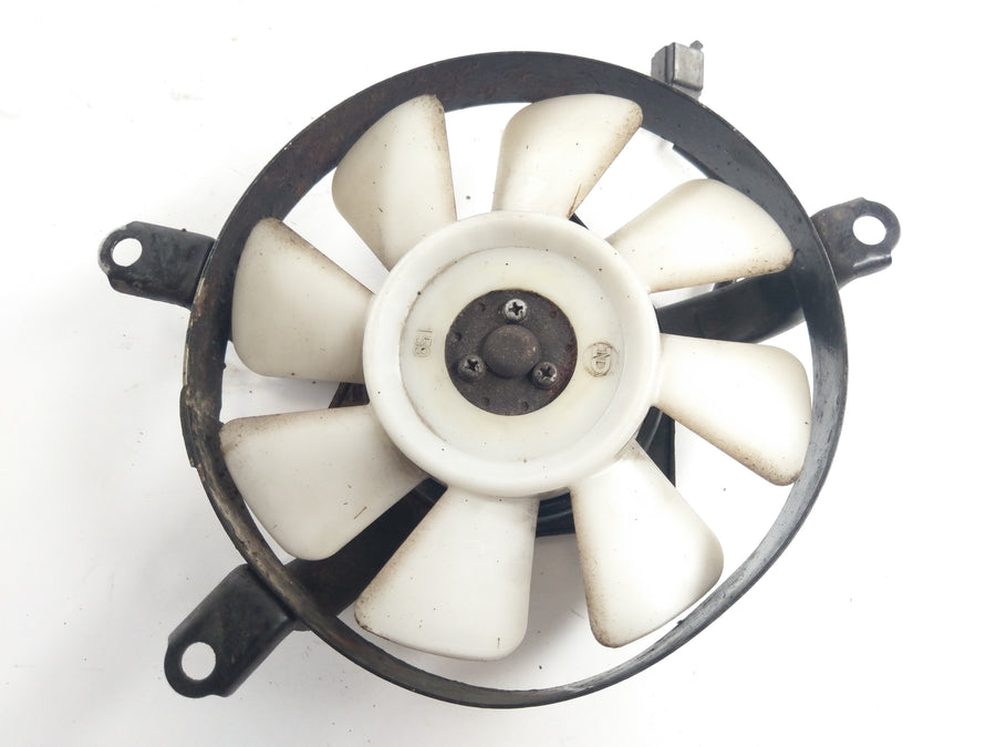 Triumph Speed Triple T509 885i [1998] - Ventilator Kühlerventilator