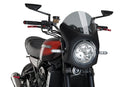 KAWASAKI Z 900 RS SE [2025] – Retro-Verkleidungscheibe – Transparent-8