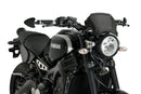 YAMAHA XSR 900 [2021] – ALU Frontplatte – Schwarz-2