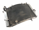 Triumph Street Triple R 675 D67LD [2008] - Radiateur d'eau-4