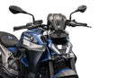 BMW R 1300 R Exclusive [2025+] - Carbon-Windschild