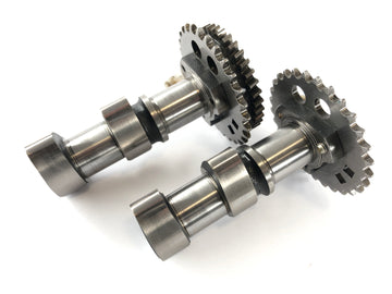 Can Am Spyder SM5 [2009] - Camshaft Set Pair Rear Cylinder