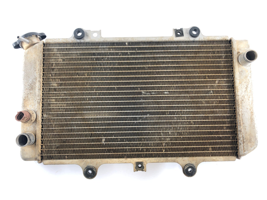 Yamaha Grizzly 660 AM03W [2003] - Radiateur d'eau