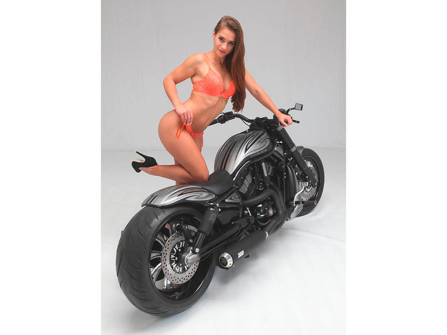 Harley Davidson Fl Shovel [1982-1984] -Super Charger Riemenrad Schwarz 1 1/2 "70