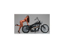 Harley Davidson Touring [2008-2024] -SuperCharger en 2 parties Disque de frein derrière-8