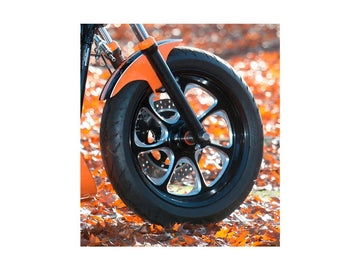 Harley Davidson Dyna [2000-2005] -reliminator 7 Disque de ceinture noir 1 1/8 "70 dents - 0
