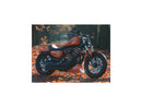 Harley Davidson Dyna [2000-2005] – Eliminator 7 Riemenscheibe Schwarz 1 1/8" 70 Zähne-8