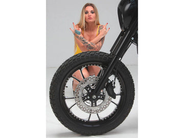 Harley Davidson Sportster [1986-2010] – T-5 2-teiliger Bremsscheibe Midnight Series - 0