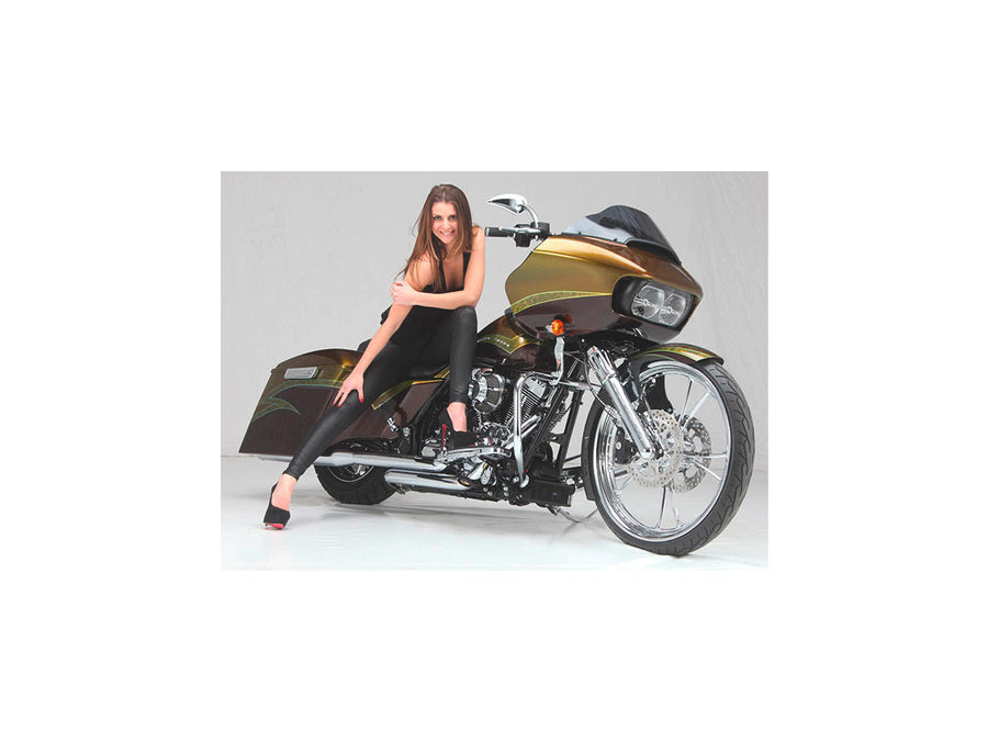 Harley Davidson Sportster [2014-2020] -T-5 Disque de frein à 2 parties Chrome 11.8 "