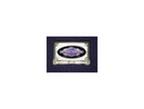 Harley Davidson-LED mustache hair, amber colors with horizontal clarity-3