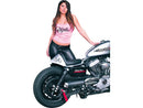 Harley Davidson Sportster [2004-2020] – Heck für Sportster Cafe Racer Modelle-2