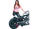 Harley Davidson Sportster [2004-2020] – Heck für Sportster Cafe Racer Modelle-7