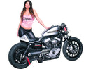 Harley Davidson Sportster [2004-2020] – Heck für Sportster Cafe Racer Modelle-8