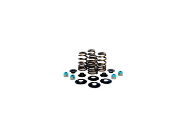Harley Davidson FX Model [1985-1994] – Hochleistungs-Bienenkorb Ventilfederkit