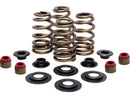 Harley Davidson Sportster [2004-2020]-high-performance bee basket valve spring kit-1