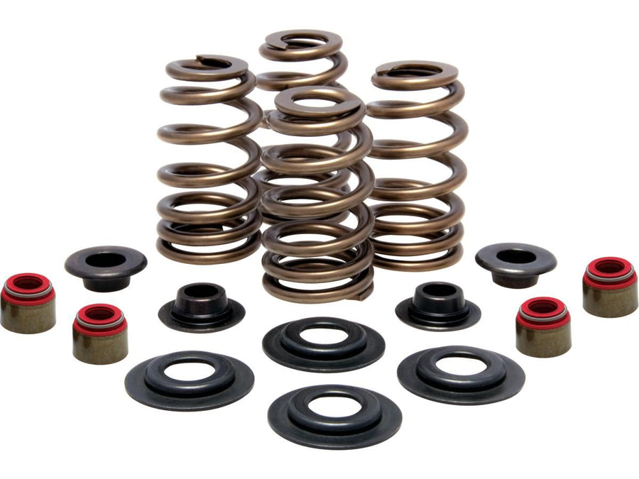 Harley Davidson Sportster [2004-2020]-high-performance bee basket valve spring kit