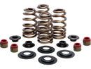 Harley Davidson Sportster [2004-2020]-high-performance bee basket valve spring kit-3