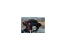 Harley Davidson Flhtcui [2005-2006]-high-performance replacement wind windshield Height: 4 "-3