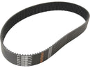 Harley Davidson - 2 "STRAP PRIMAIRE CHORTY XL Version 8 mm 2" 142 dents-1